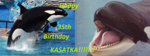 kasatka-35th.png