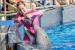 Blue Horizons show Marina and dolphin