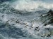 rockhopper-penguins-surfing-into-shore--maldives-islands